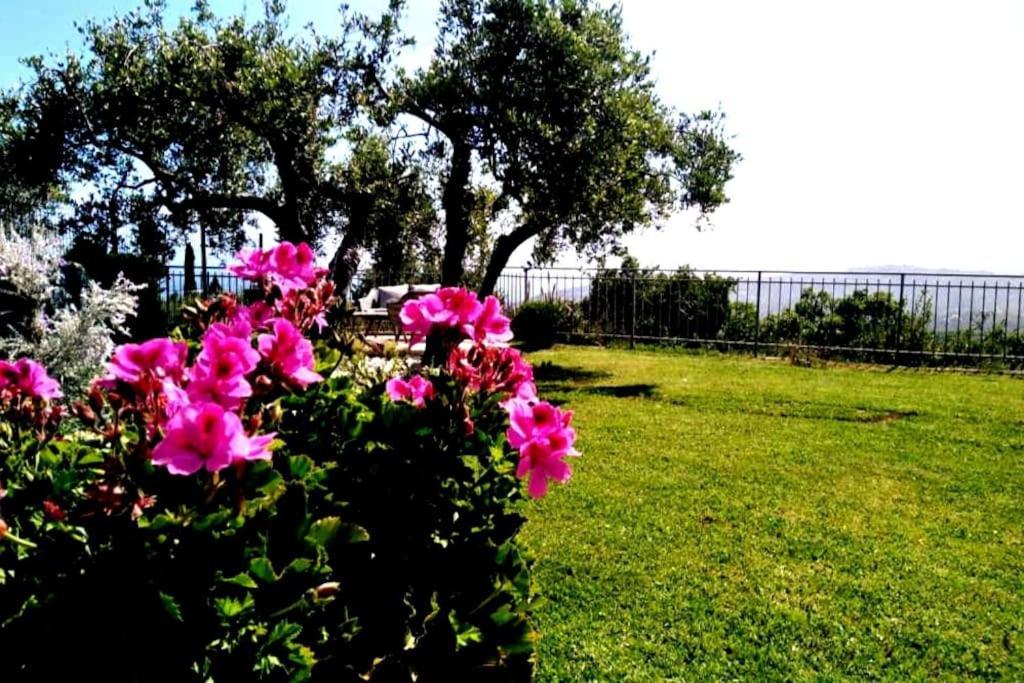 Vila Casa Vista Mare - Superb Garden And Parking Included Imperia Exteriér fotografie