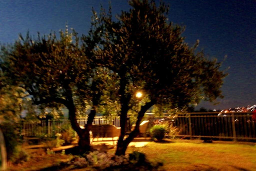 Vila Casa Vista Mare - Superb Garden And Parking Included Imperia Exteriér fotografie
